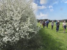 Bereich Reifferscheid033