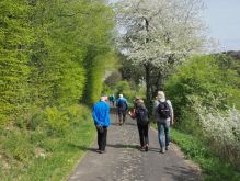 Bereich Reifferscheid036