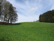 Bereich Reifferscheid039