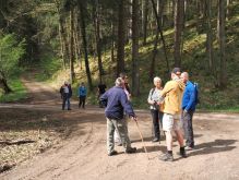 Bereich Reifferscheid042