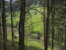 Bereich Reifferscheid044