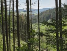 Bereich Reifferscheid045