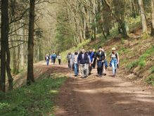 Bereich Reifferscheid046