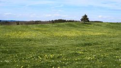 Bereich Reifferscheid053