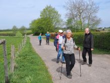 Bereich Reifferscheid054