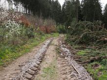 Bereich Reifferscheid058