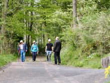 Bereich Reifferscheid060