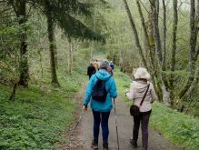 Bereich Reifferscheid074