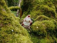 Bereich Reifferscheid076