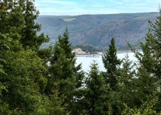 Schmidt   Eschauel   Rurseef018