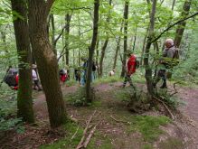 Schmidt   Eschauel   Rurseef026