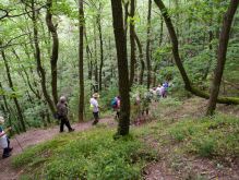 Schmidt   Eschauel   Rurseef027