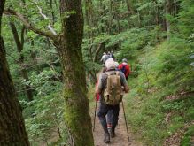 Schmidt   Eschauel   Rurseef028