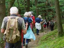 Schmidt   Eschauel   Rurseef029