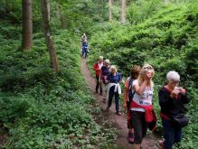 Schmidt   Eschauel   Rurseef037