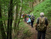 Schmidt   Eschauel   Rurseef040