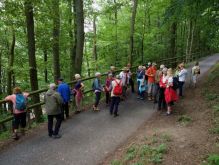 Schmidt   Eschauel   Rurseef042