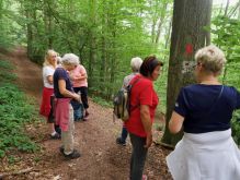 Schmidt   Eschauel   Rurseef061