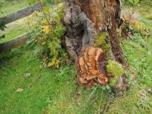 Widdau   Rohrener Höhen008