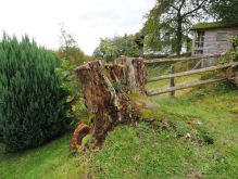 Widdau   Rohrener Höhen009