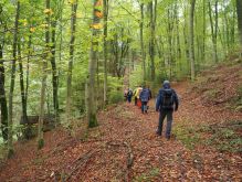 Widdau   Rohrener Höhen012