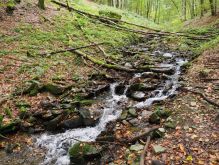 Widdau   Rohrener Höhen014